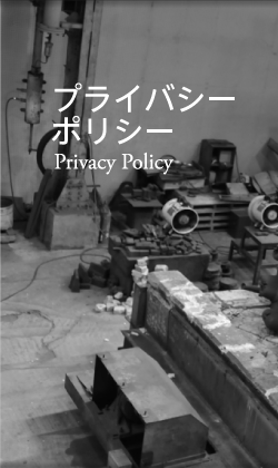 vCoV[|V[ Privacy Policy